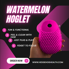 Load image into Gallery viewer, Hoglet by HedgeHog Health